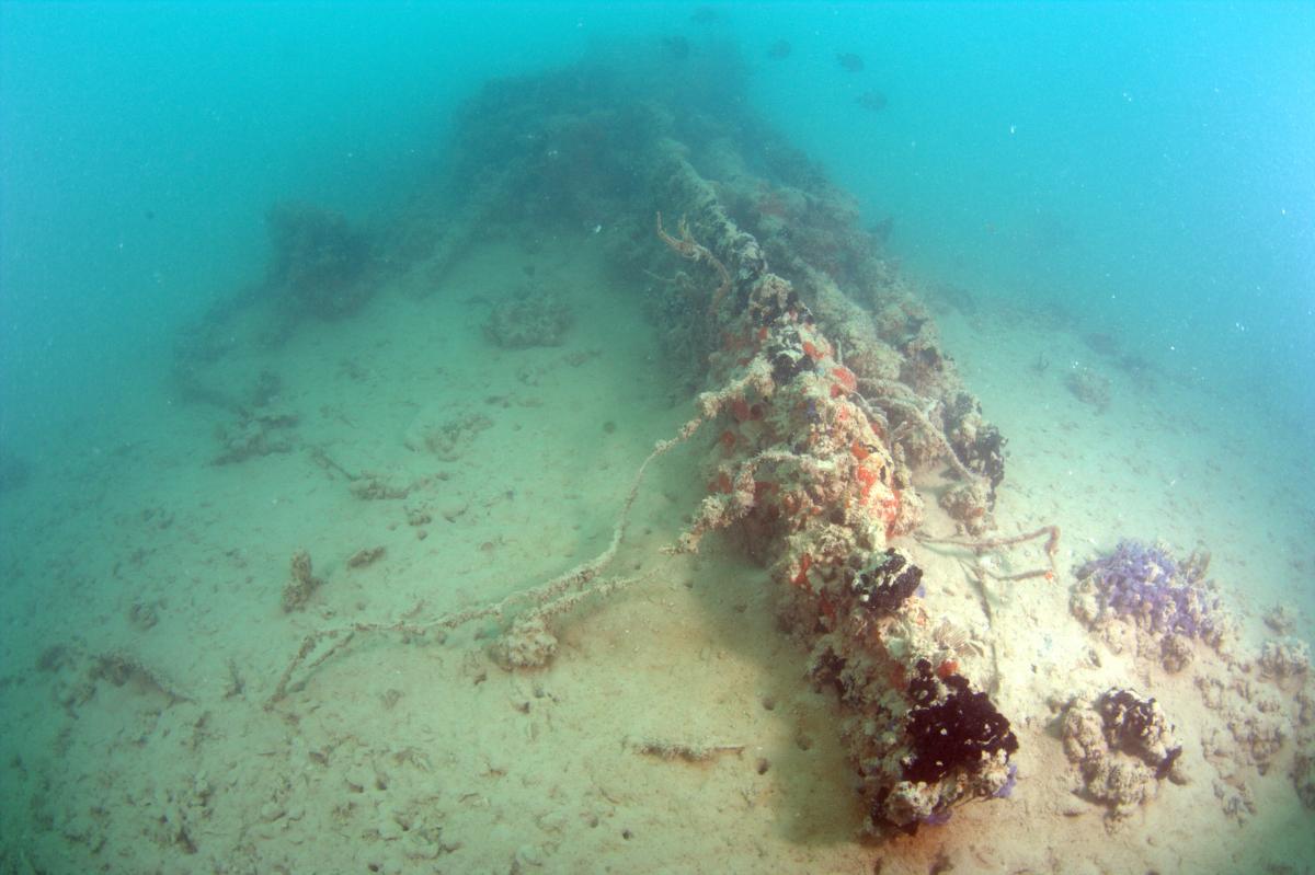 pearl-harbor-sunken-navy-seaplane