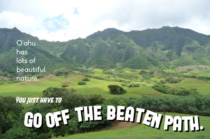 first time hawaii travel advice