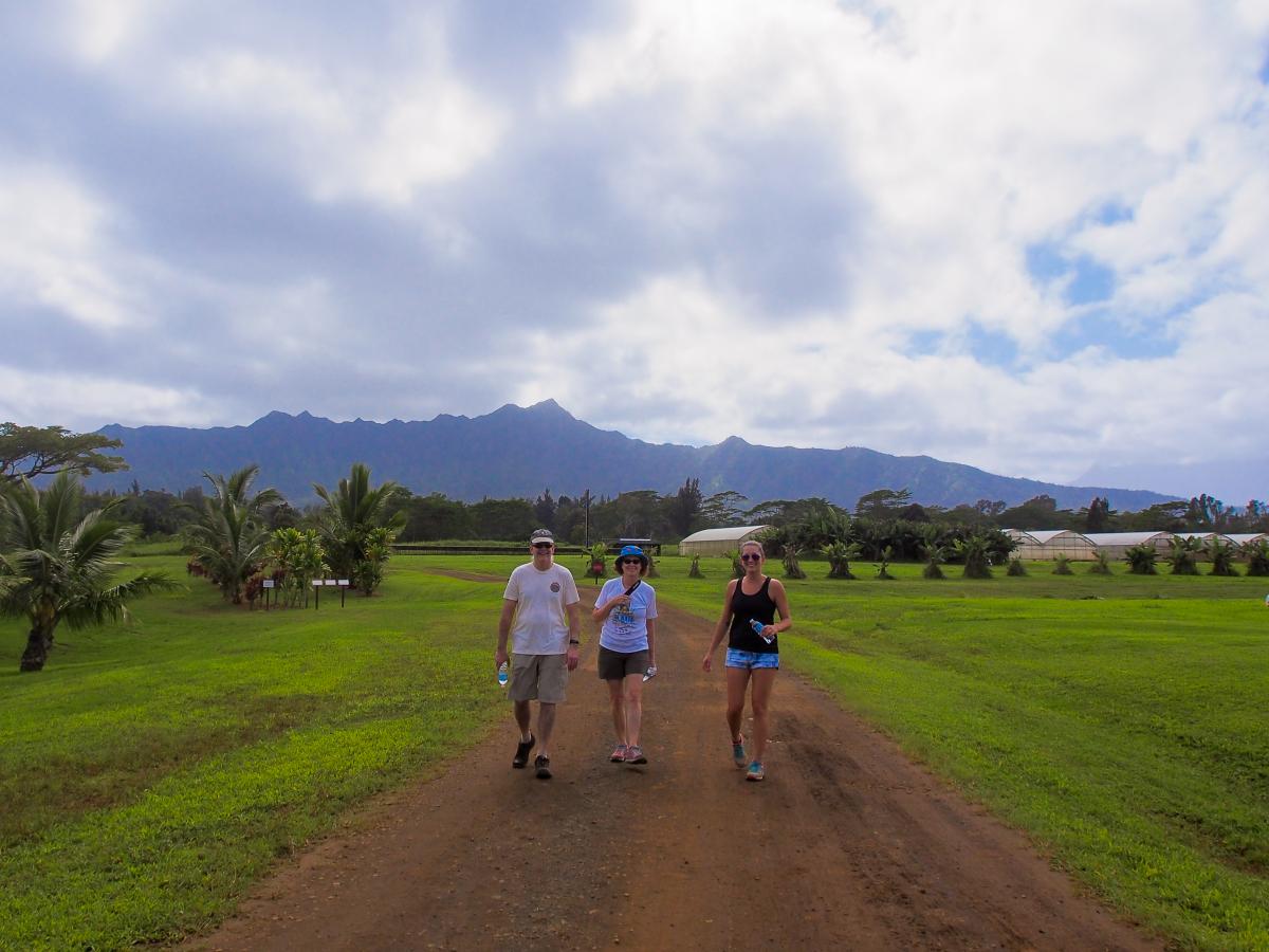 wai koa loop trail kauai