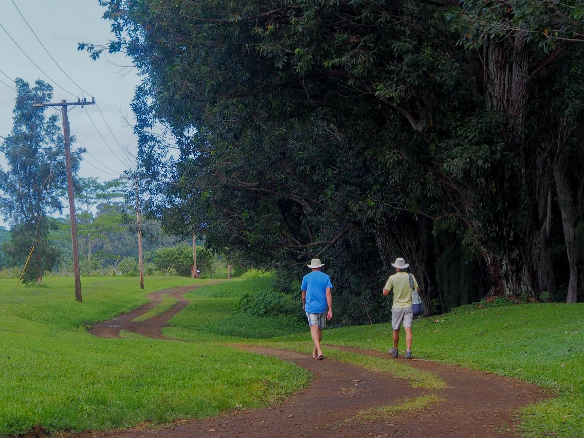 wai koa loop trail kauai