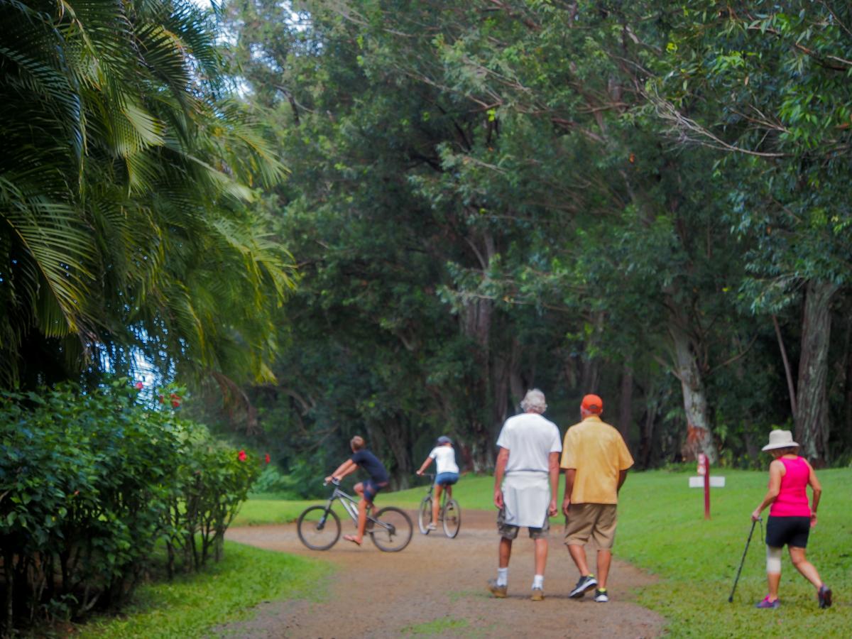 wai koa loop trail kauai