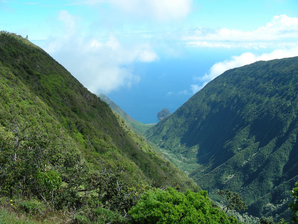 Waikolu Lookout