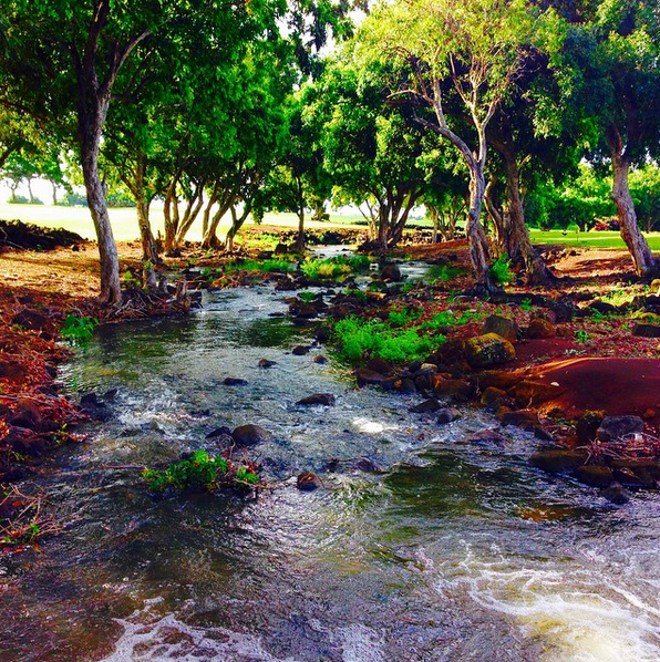 waikomo stream kauai