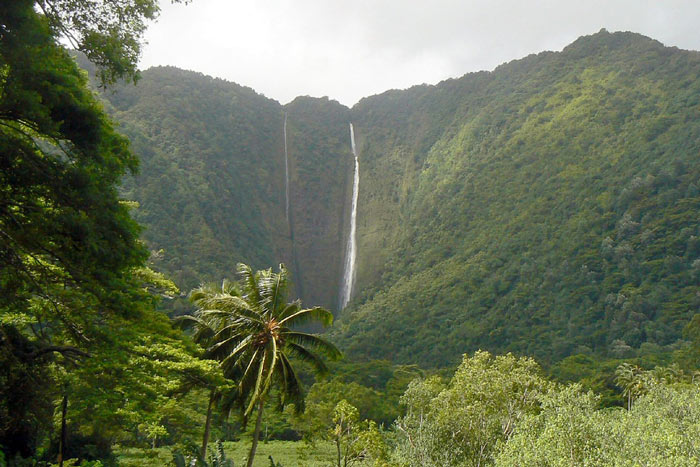 waimanu valley