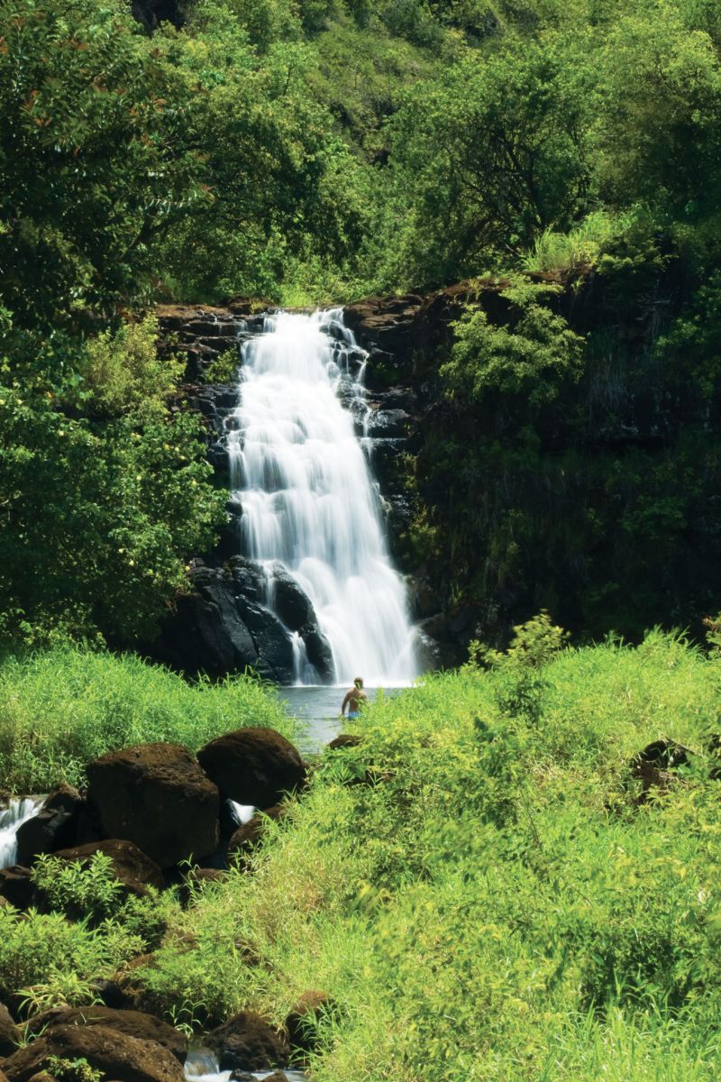waimea falls