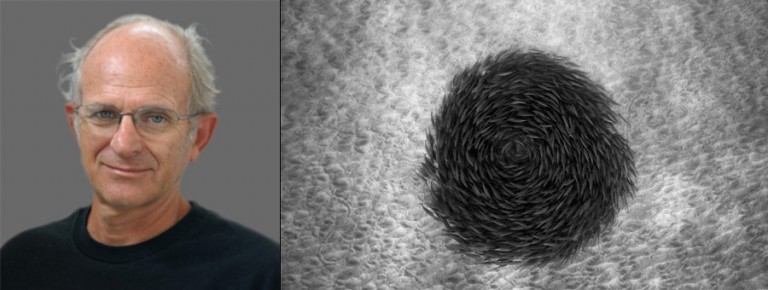 wayne-levin-underwater-photographer-hawaii