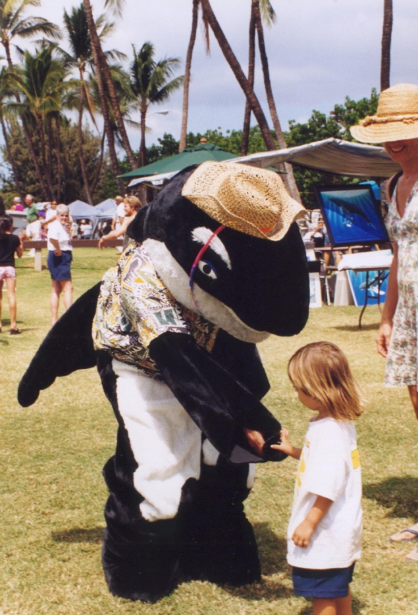 Maui_Whale_Festival_celebrates_return_of_humpbacks