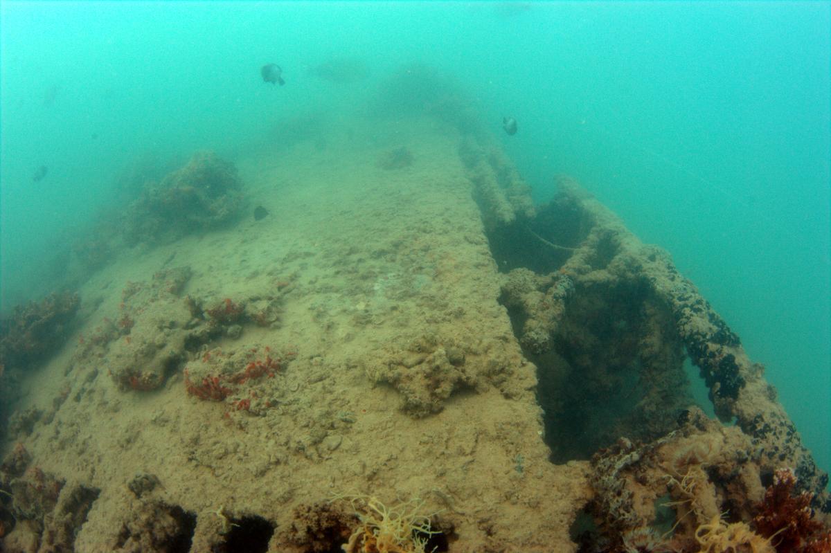 pearl-harbor-navy-sunken-plane