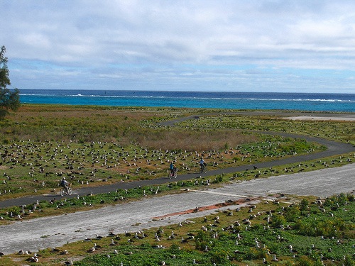 Hawaii_Northwestern_Hawaiian_Islands_Midway_Laysan