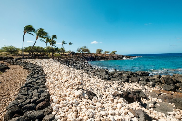 Him2005 Ay Hawaii Island 8076