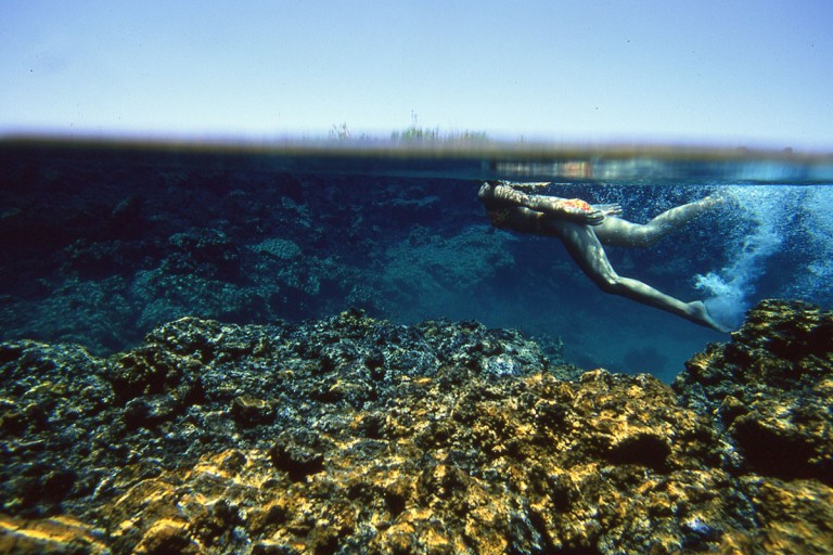 Abchialinepondshawaiiisland