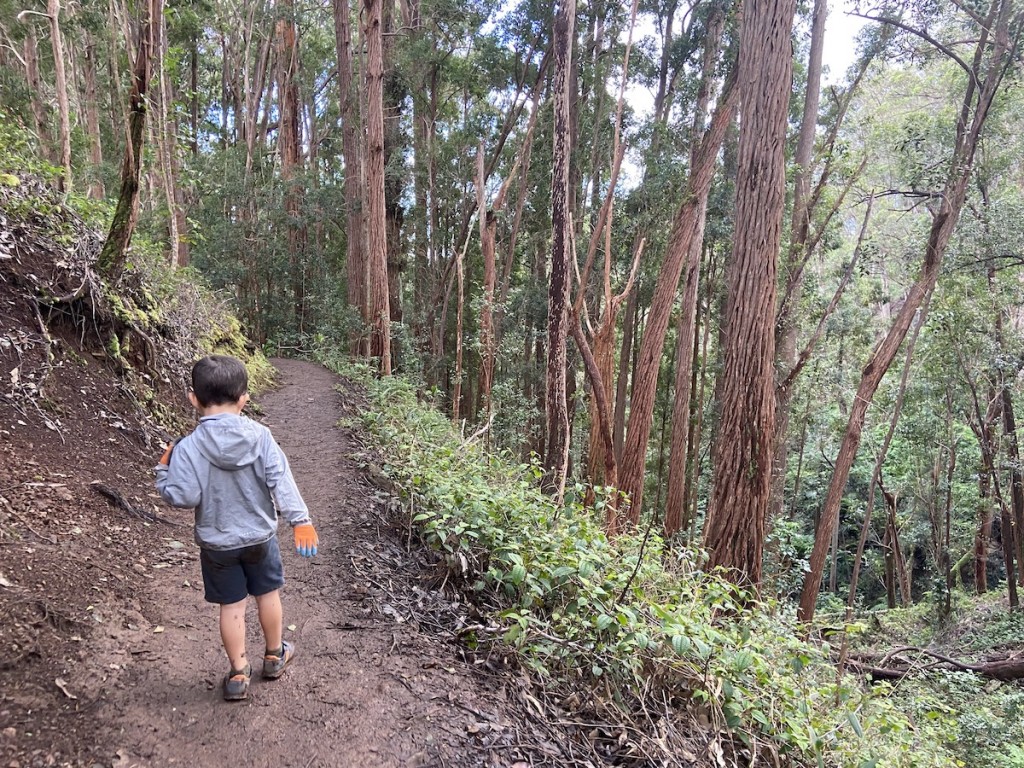 Oahuhikes Aiea