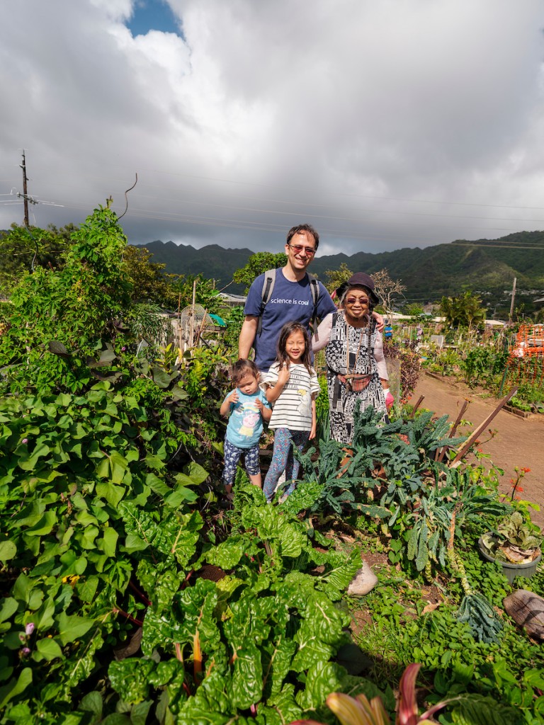 Him2104 Ay Community Gardens Manoa 7712