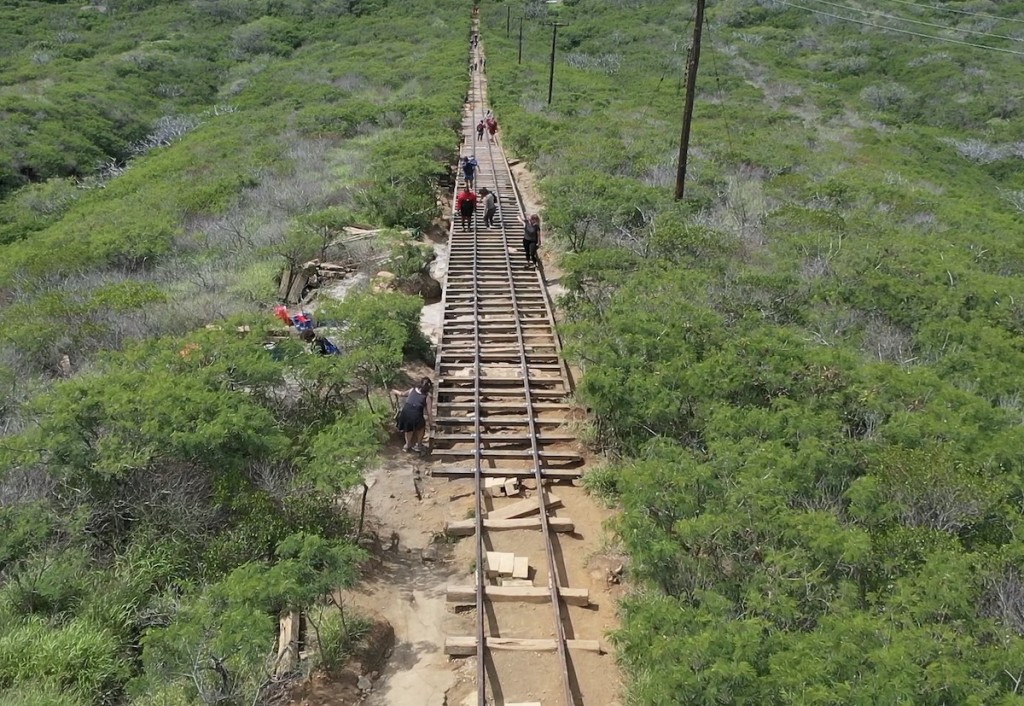 Kokocrater Work Kokonutkoalition