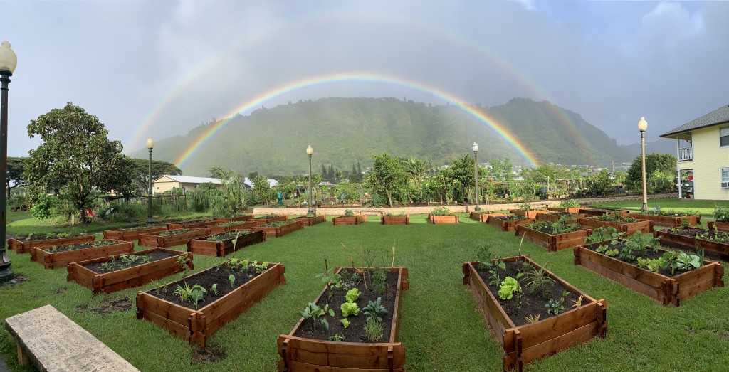 Manoa Garden Rainbow 1