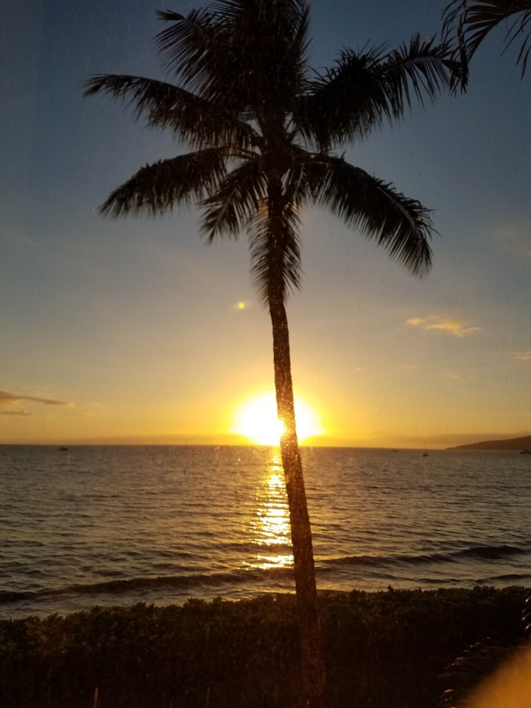 135858214 3935819559770048 6408603093916312422 N