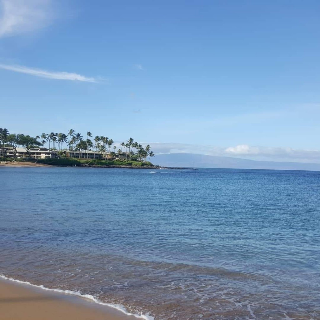 136329781 10218631128116173 6685358101897364934 N