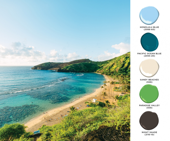 hawaii paint palette
