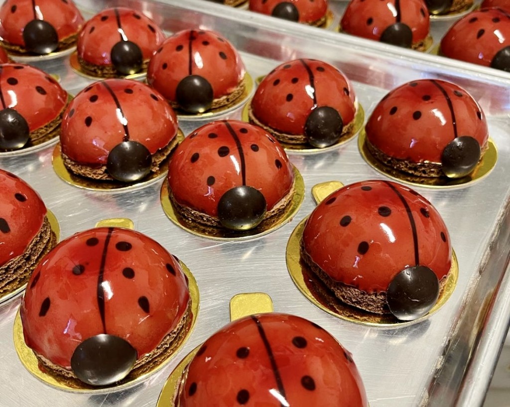 Raspberry ladybug