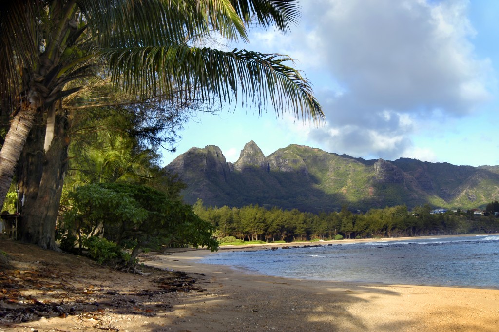 Fronds Frame Beach On Kauai