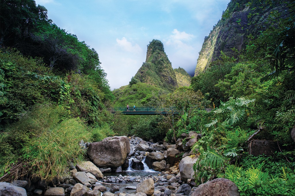 Ih Maui Iao Valley 5
