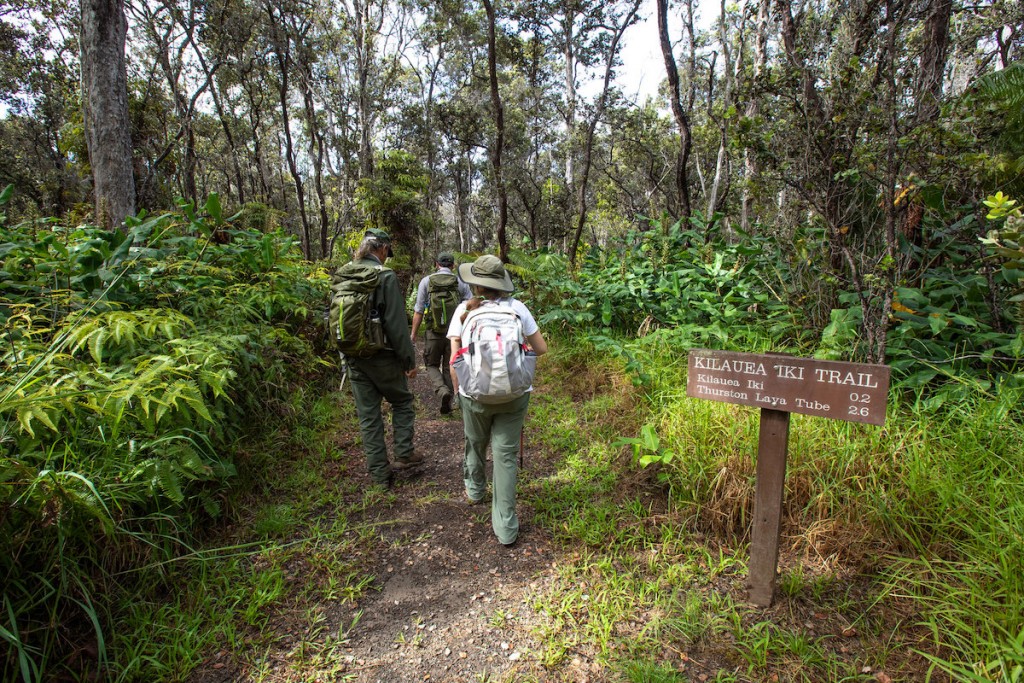 Rangertips 48767664683 9649204808 K