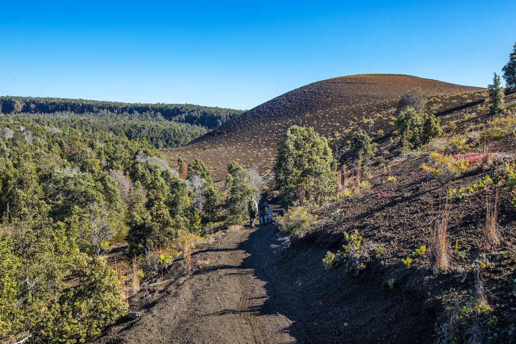 Rangertips 49033285538 2a82f53340 K