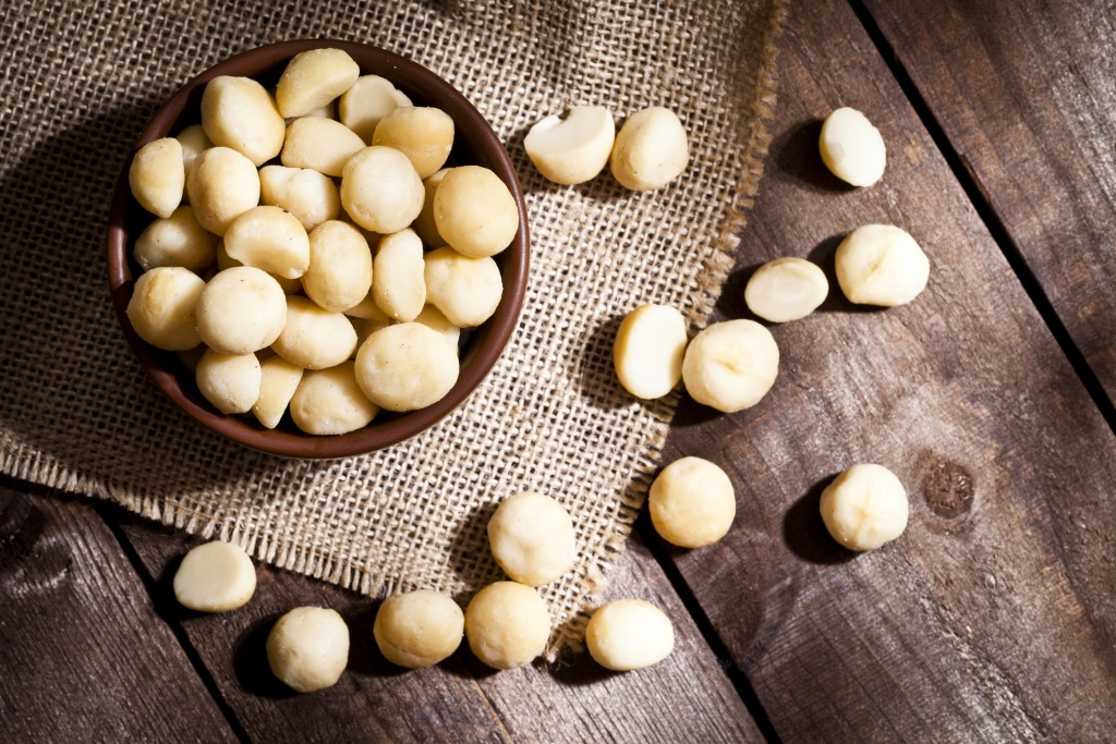 Organic Macadamia Nuts Still Life