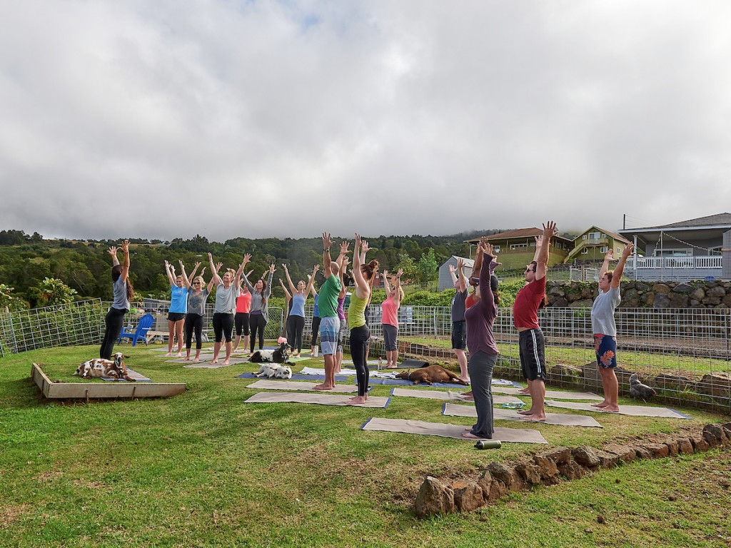 Him1906 Dc Maui Day2 3043