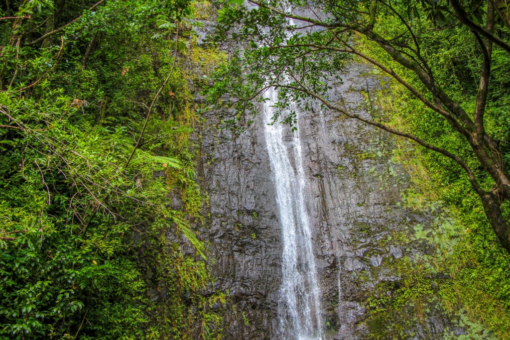 Manoa Falls Waterfall