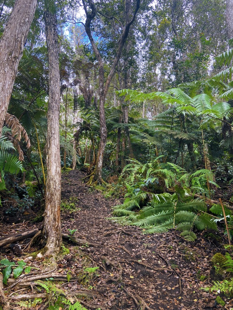 Processed With Vsco With L1 Preset