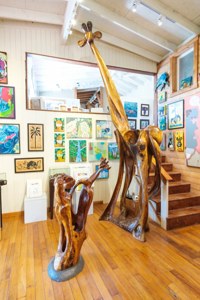 Him2106 Ay Maui 72 1