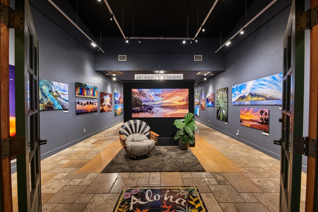 Andrew Shoemaker Photography