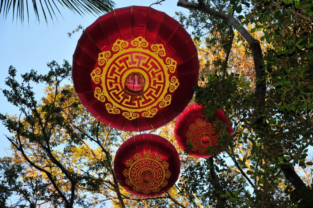 Chinese New Year Lanterns Decorations Hanging On A Tree In Hawaii