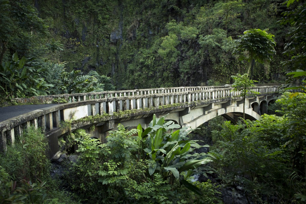 Rainforest In Maui, Hawaii.