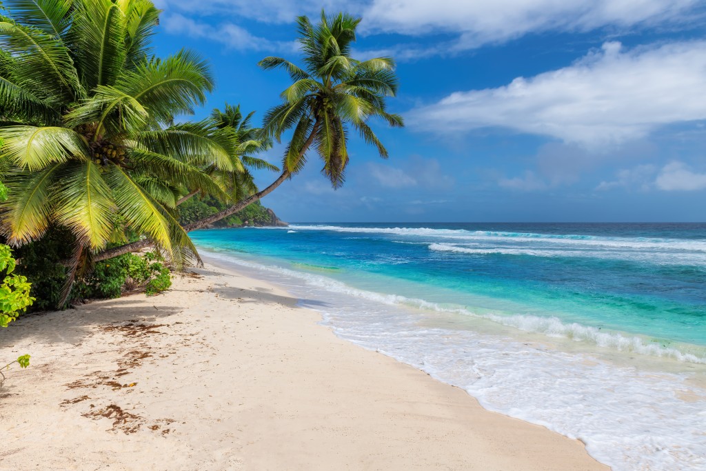 Coconut Palms On Sunny Beach And Turquoise Sea.