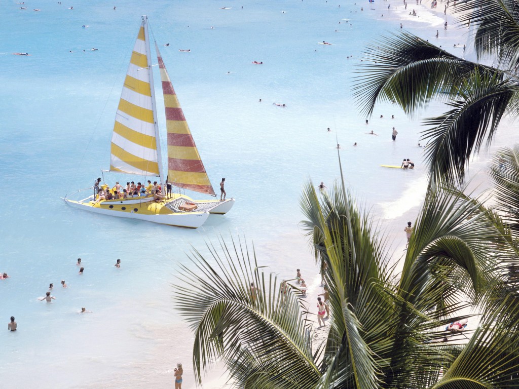 Sailboat And Palm Trees On Waikiki , Hawaii , Usa