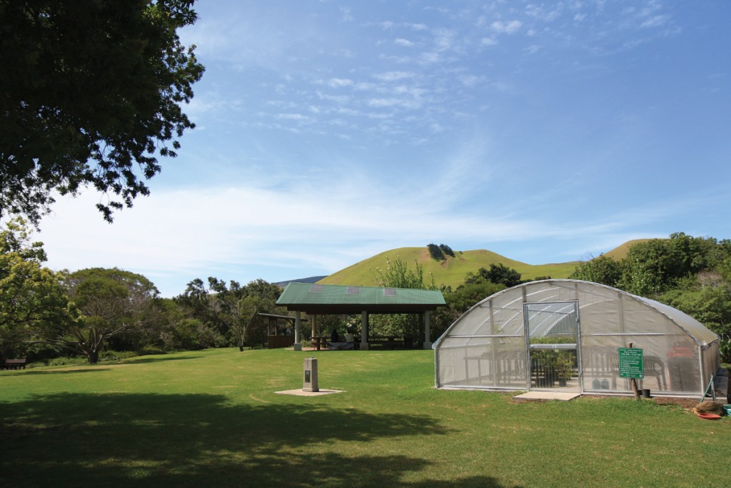 03 2204 Waimeanaturepark Swp