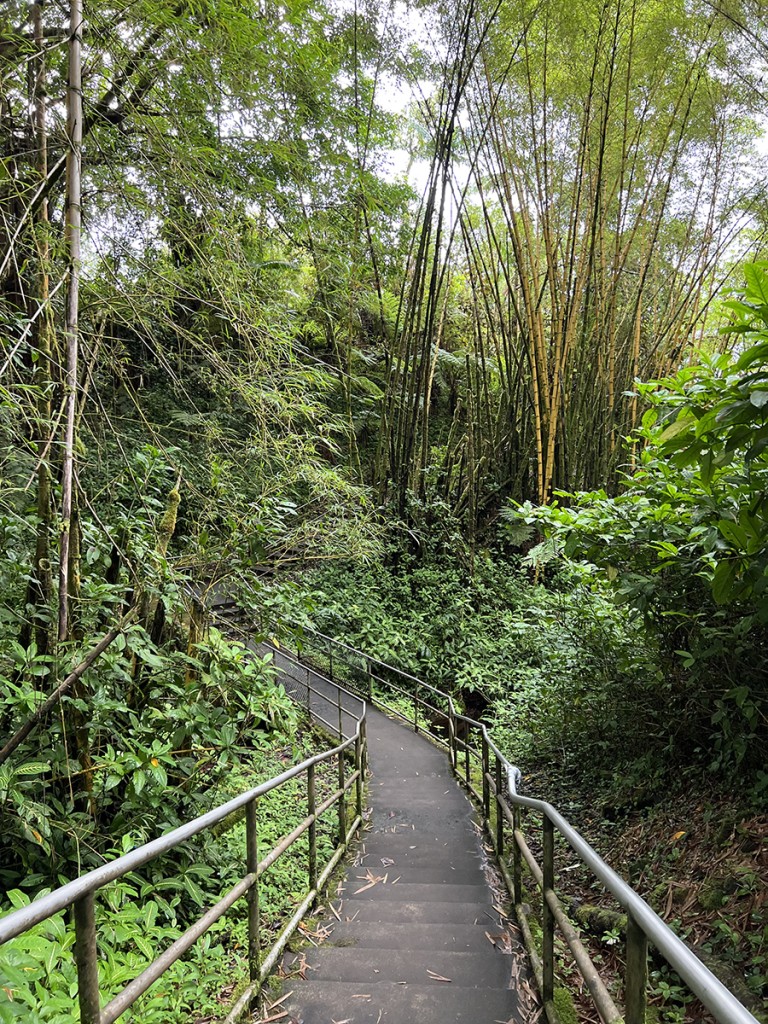 20220721 Akakafalls Bamboo Ctf