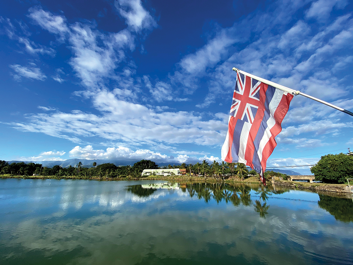 03 Cultureenvironment Lokoea