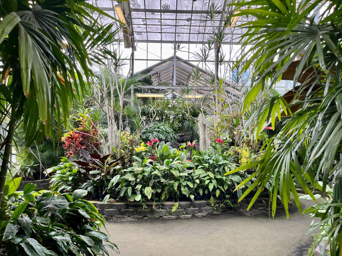 Fosterbotanicalgardenorchidhouse