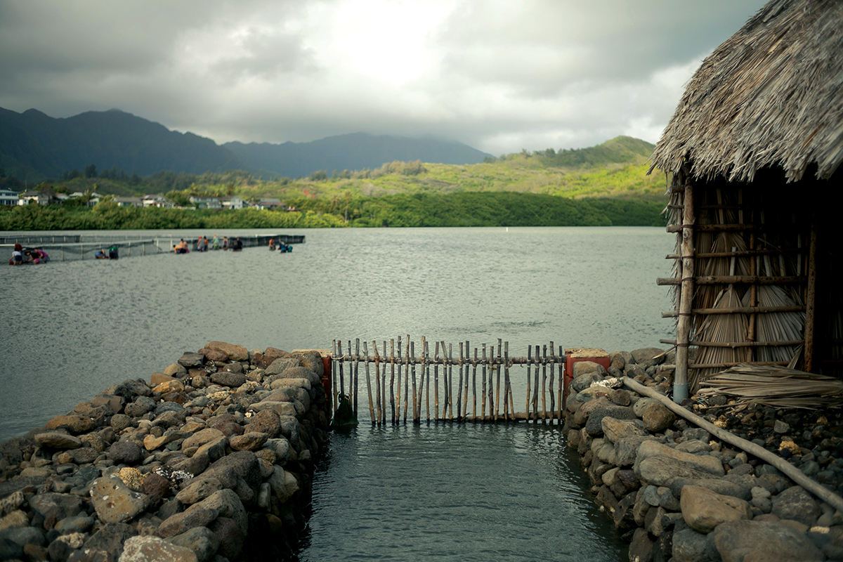 04 Ay1501 Paepae O Heeia