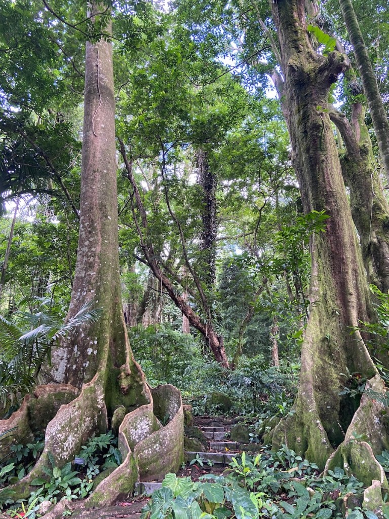 20220913 Manoa Lyon Ctf