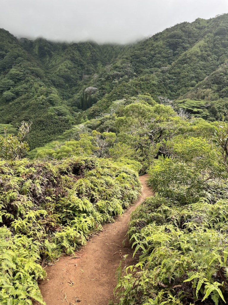 20220913 Manoa Puupia Ctf