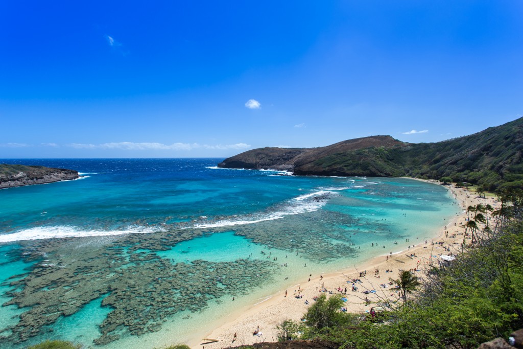 Hanauma Bay, Snorkeling Paradise In Hawaii
