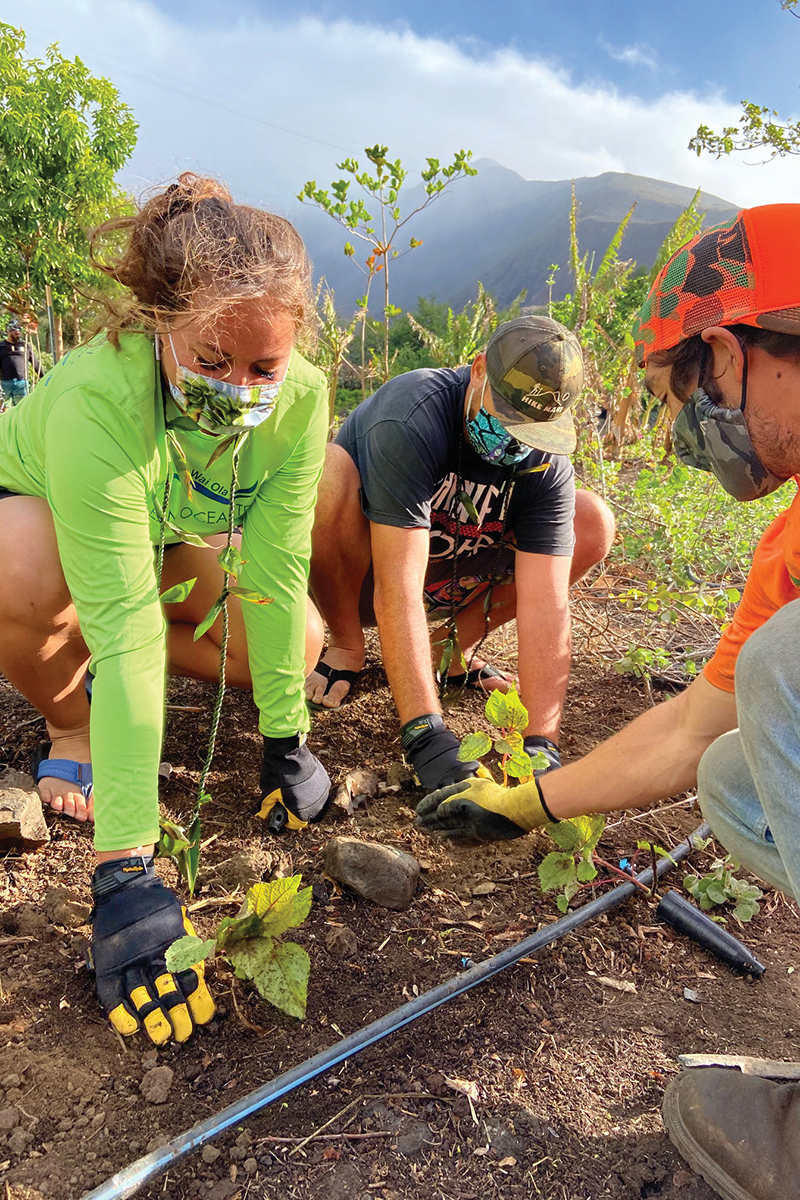 03 0722 Kipukaolowalu Swp