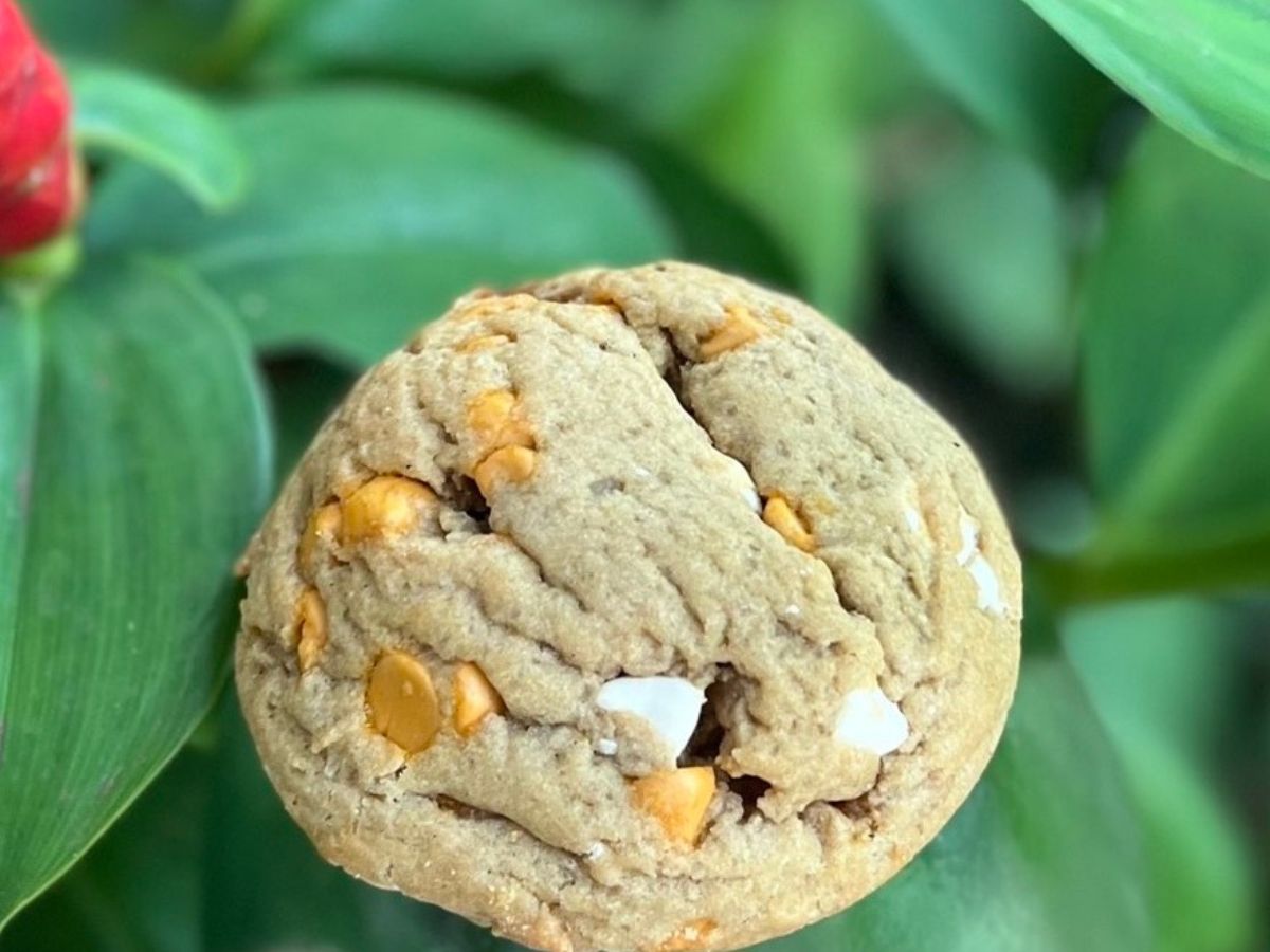 Ohmypumpkinmauicookielady