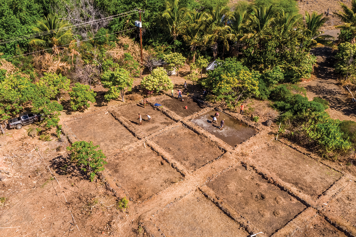 04 0722 Kipukaolowalu Swp