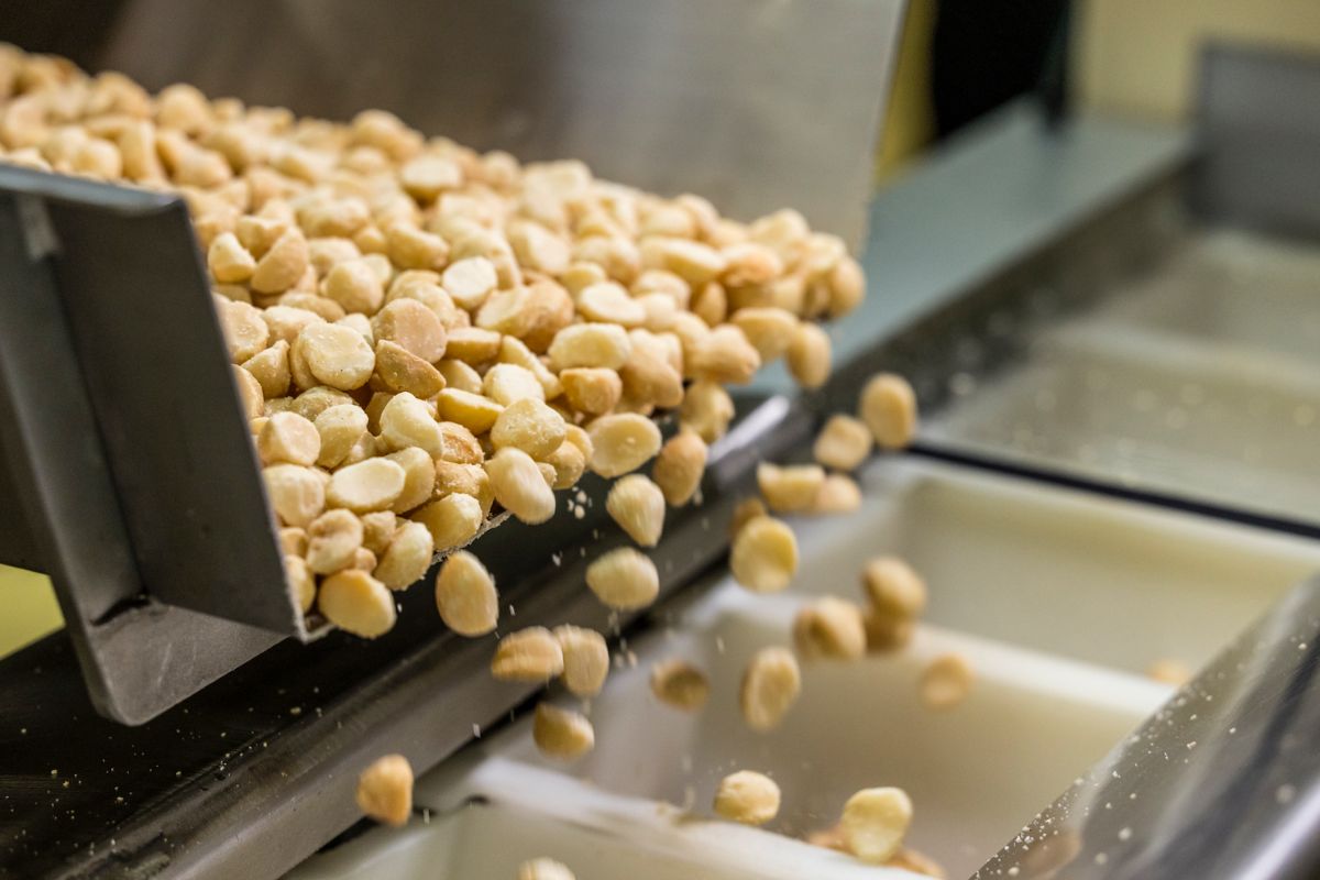 Hawaiianhostmacadamianuts