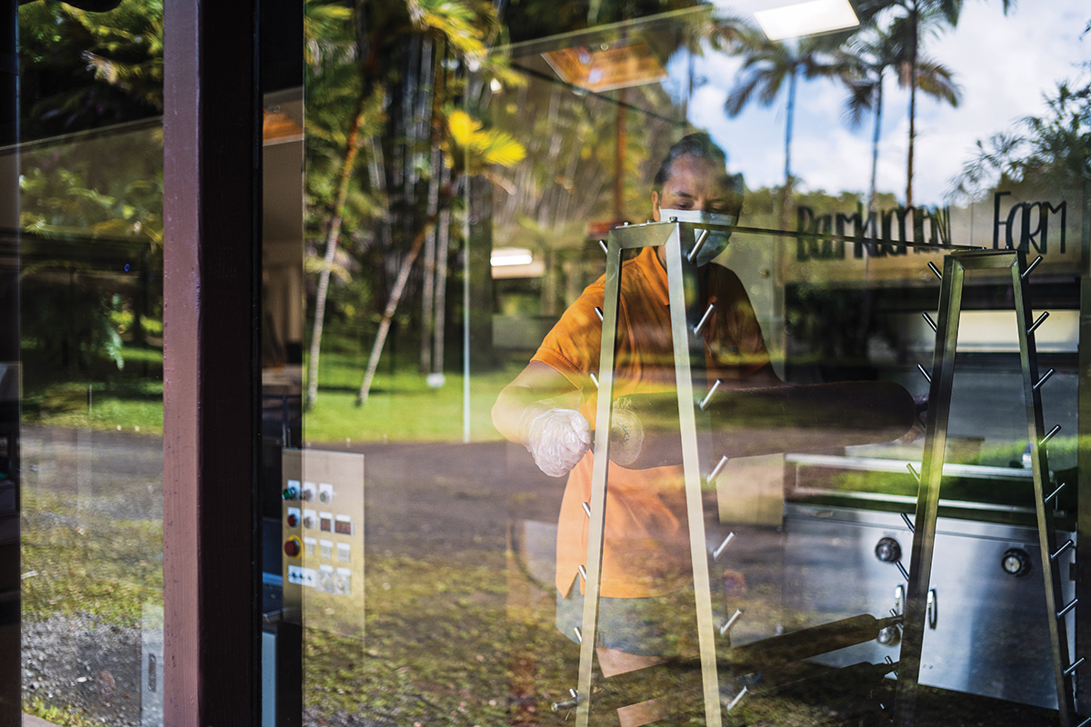 Baumchuken Farm Hilo